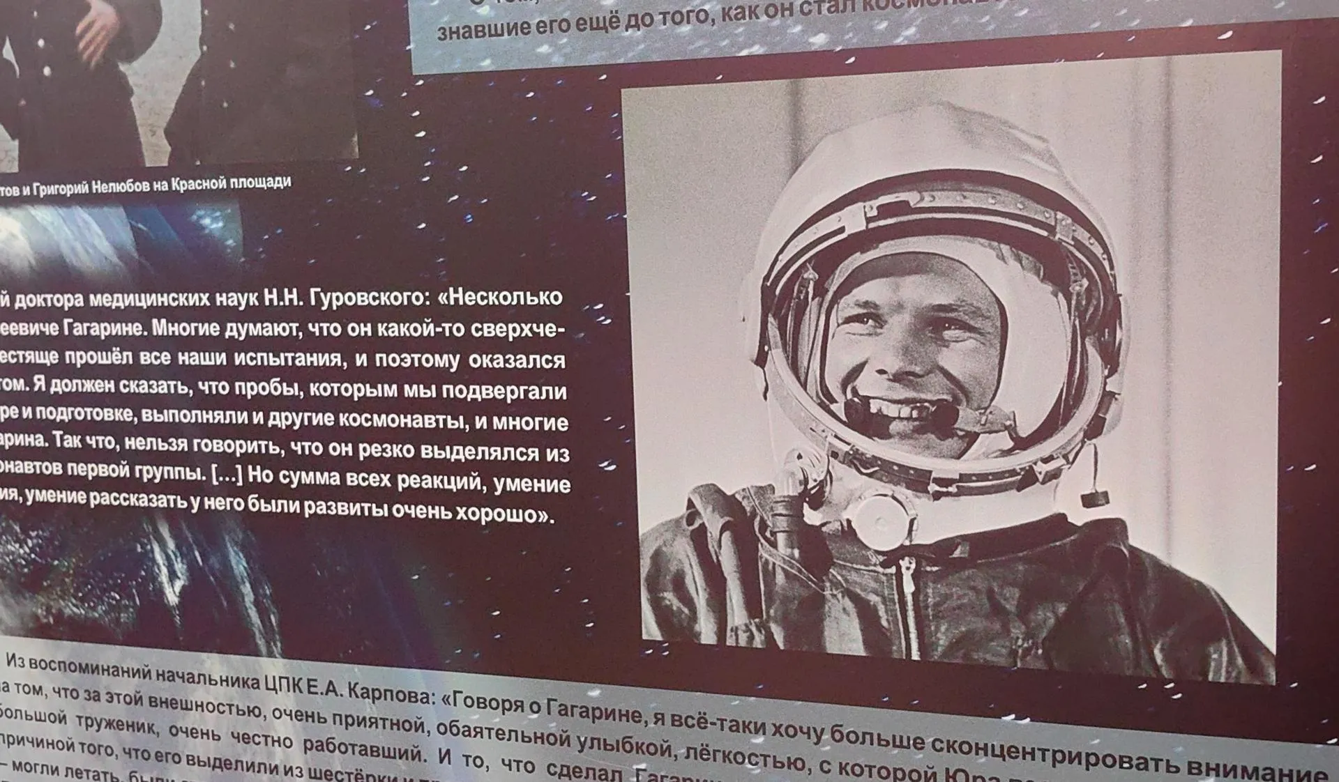 Елена Катасонова