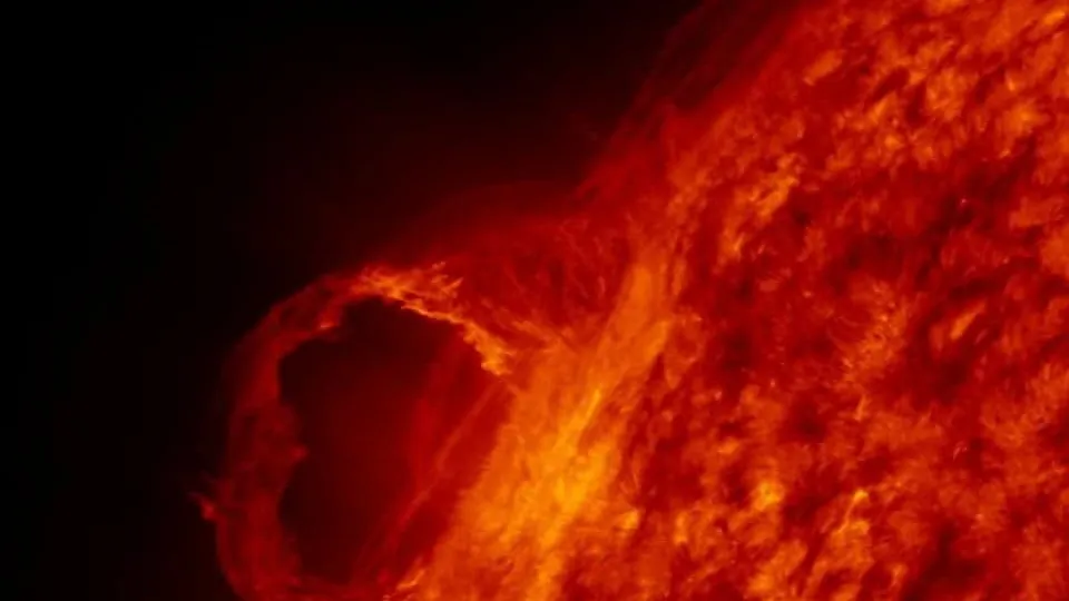 Фото: pxhere.com