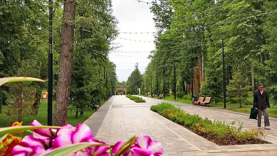 Фото: пресс-служба администрации г.о. Ступино