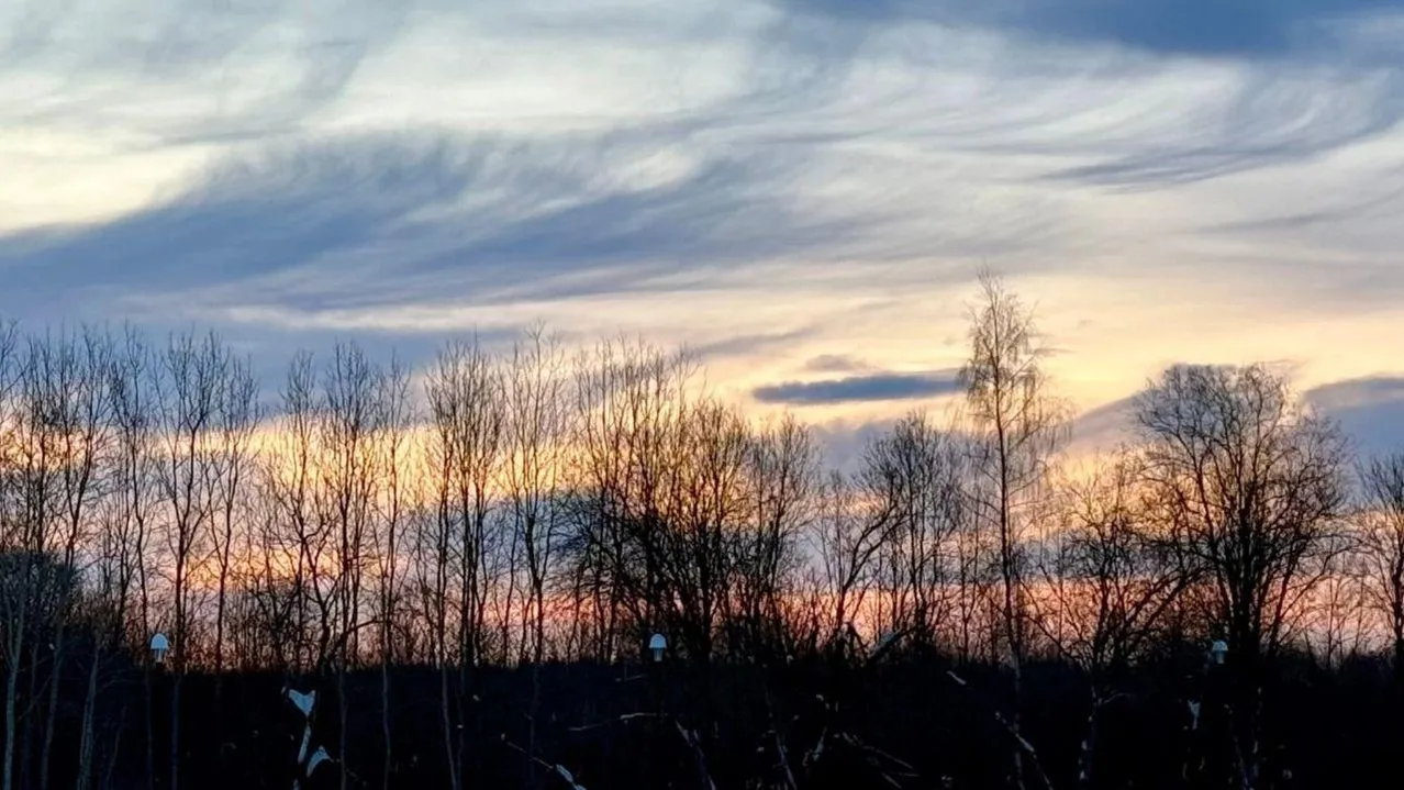 Марина Алифанова