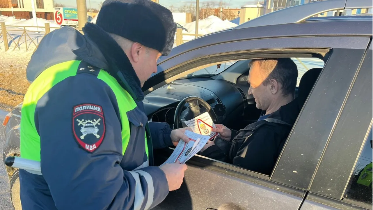 Фото: Пресс-служба ОМВД России по г.о. Ступино