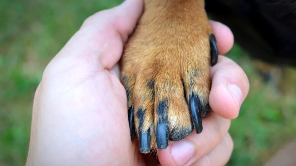 Фото: freepik.com