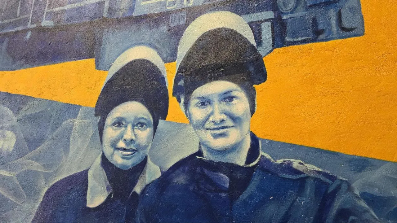 МедиаБанк Подмосковья/Марина Анисимова