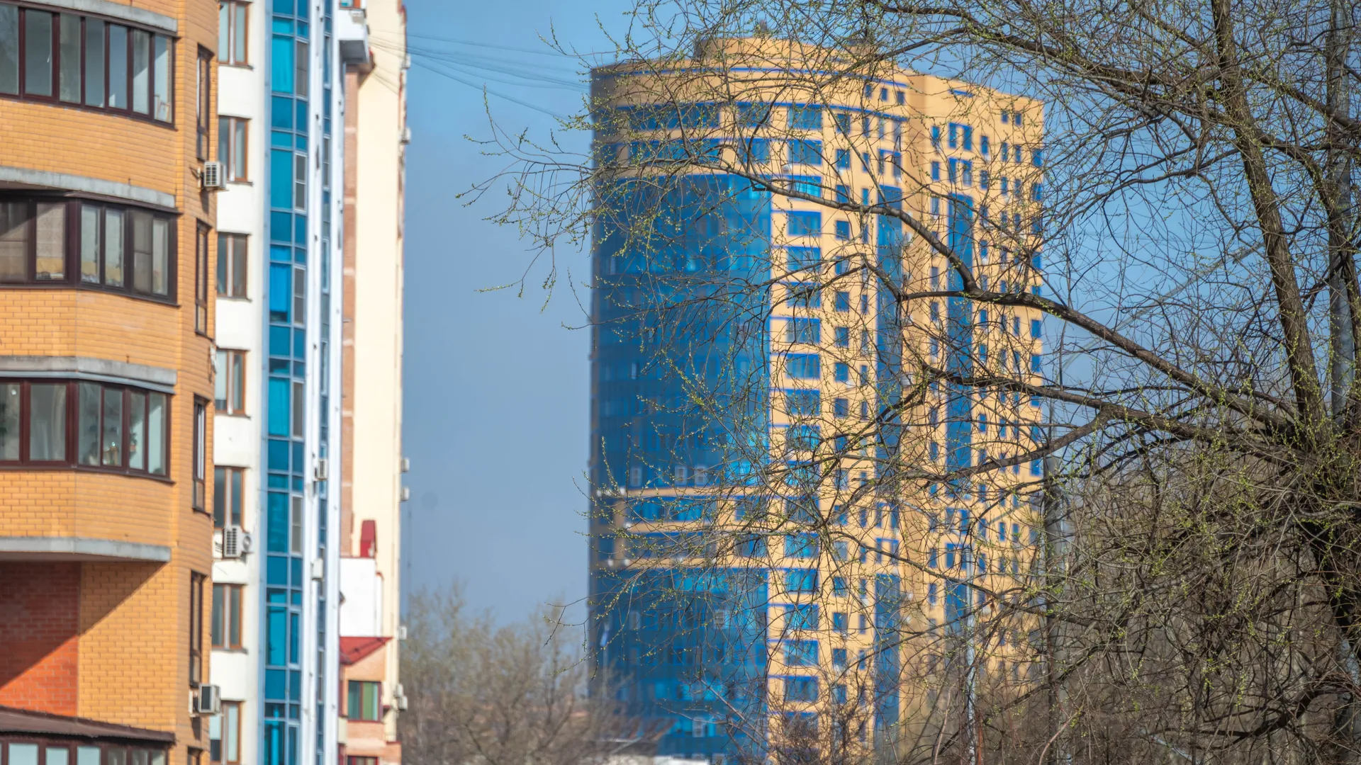 Фото: Ирина Зубарева