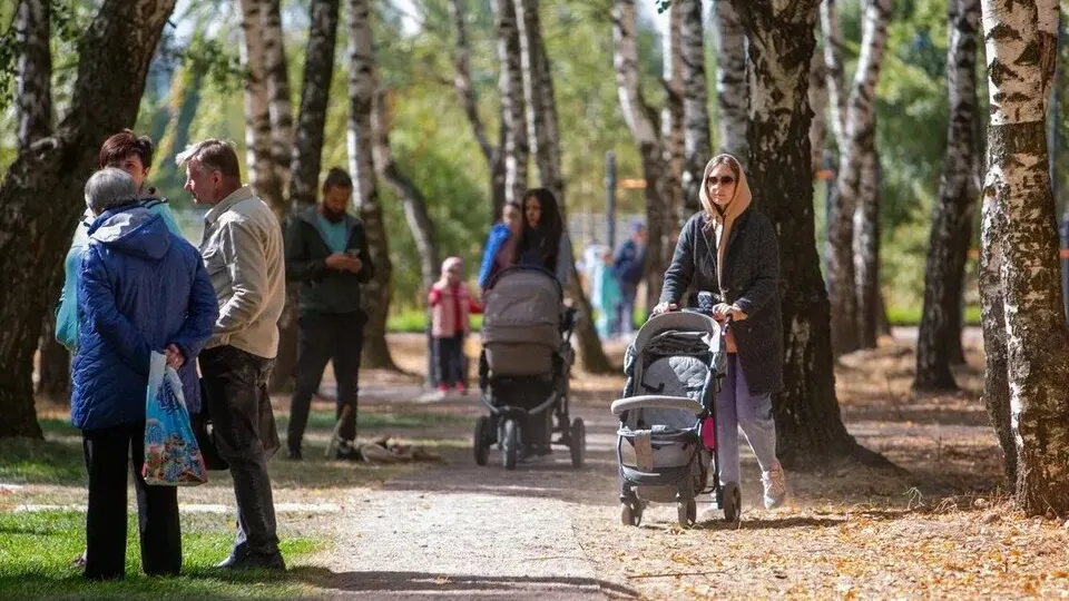 Фото: Министерство благоустройства Московской области