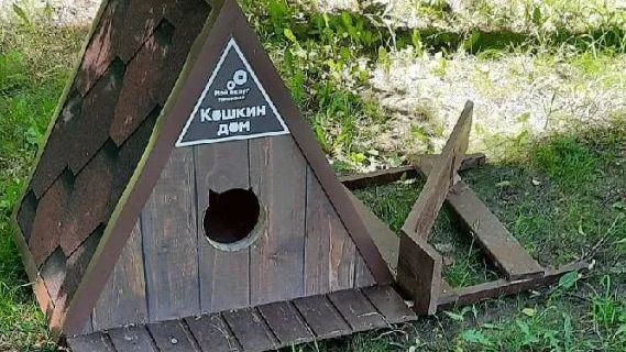 Пожилой мужчина разломал «Кошкин дом» в Раменском