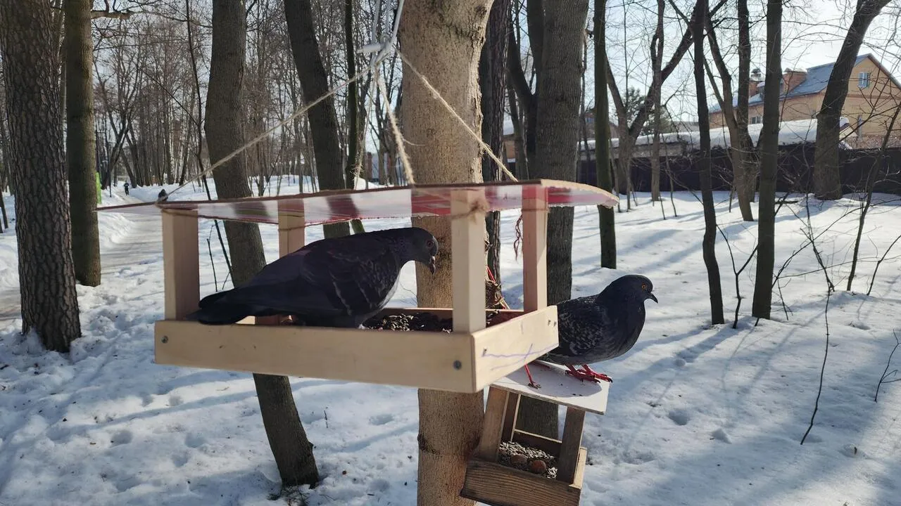 REGIONS/Валерия Тингаева