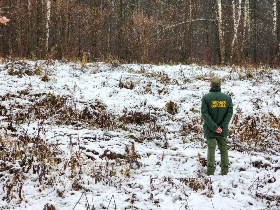 Фото: МедиаБанк Подмосковья/Мария Андрюхина