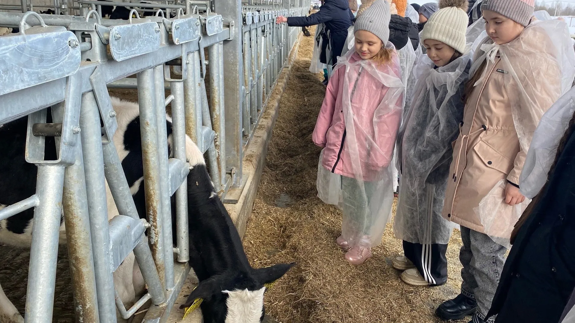 Фото: Малинкая школа