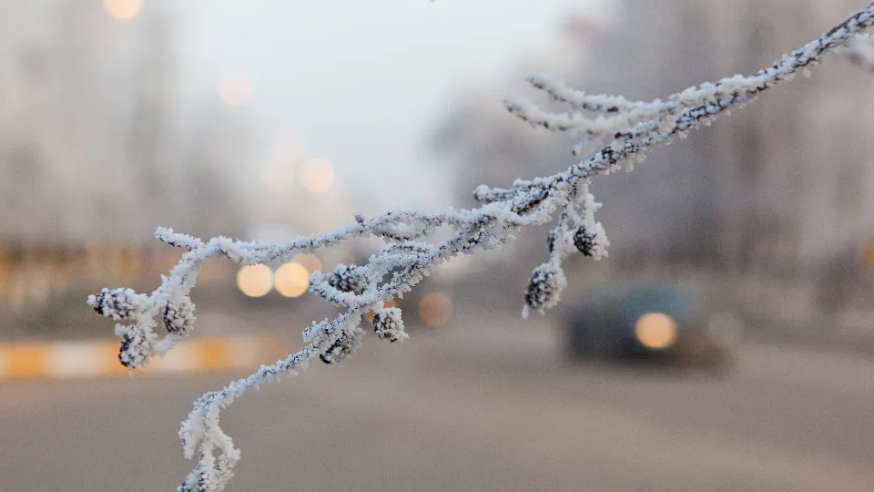 Фото: медиасток.рф