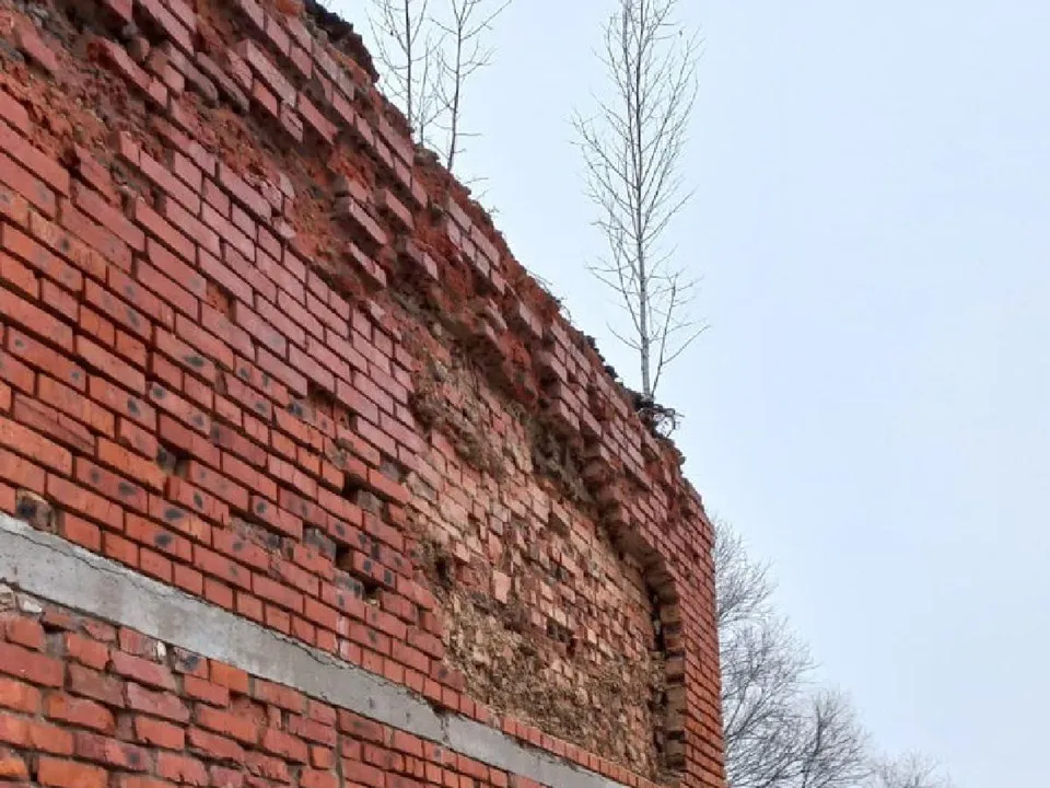 Фото: пресс-служба администрации г.о. Серебряные Пруды