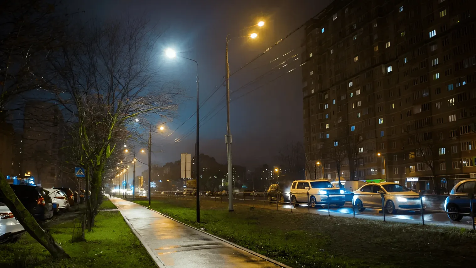 Фото: Министерство благоустройства Московской области