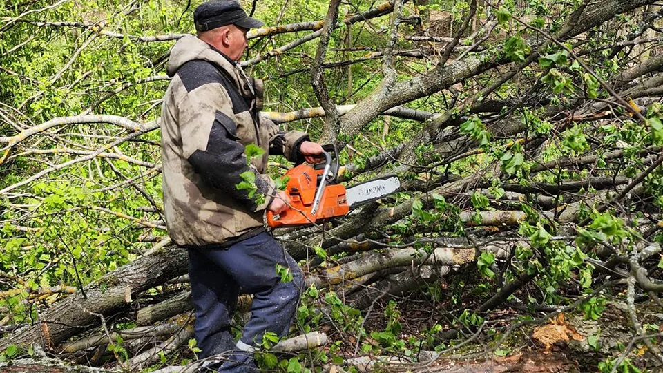 Фото: Андрей Семибратов
