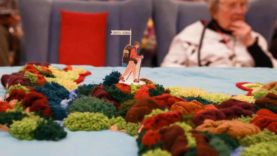 Фото: Министерство социального развития МО