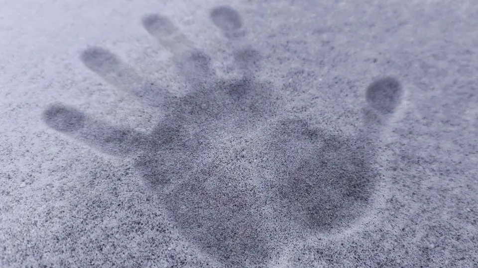 Фото: REGIONS/Роман Малышенко