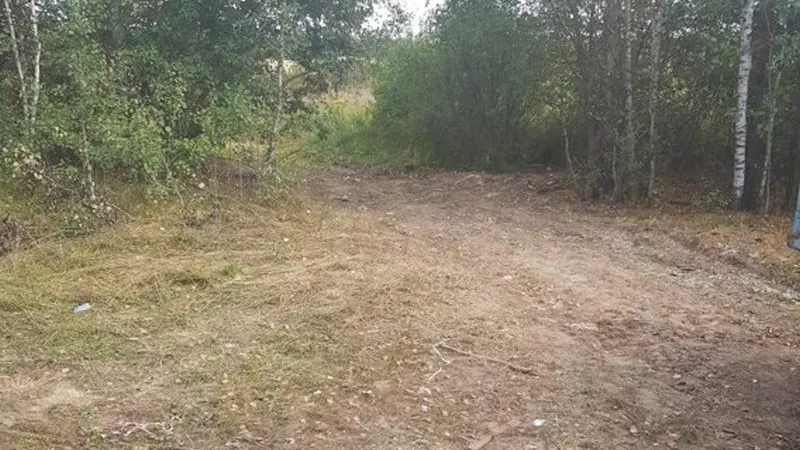 Сотню свалок уничтожили за неделю в Подмосковье