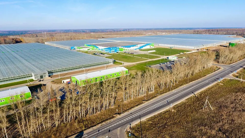 Фото: пресс-служба губернатора и правительства Московской области