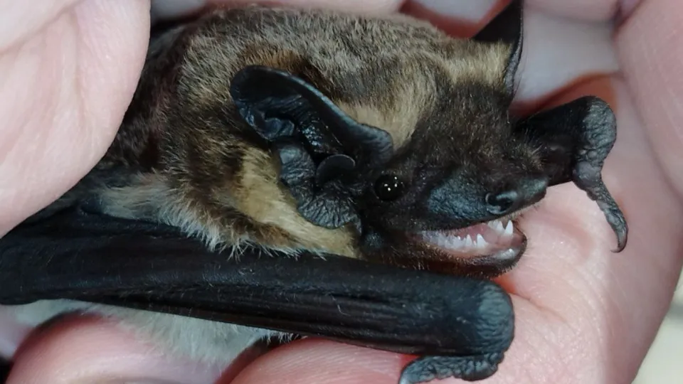 Фото: личный архив Максима Рублева