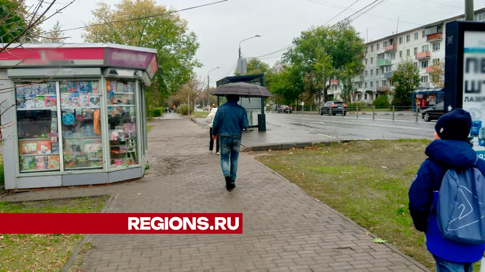 Фото: REGIONS/Василий Тремасов