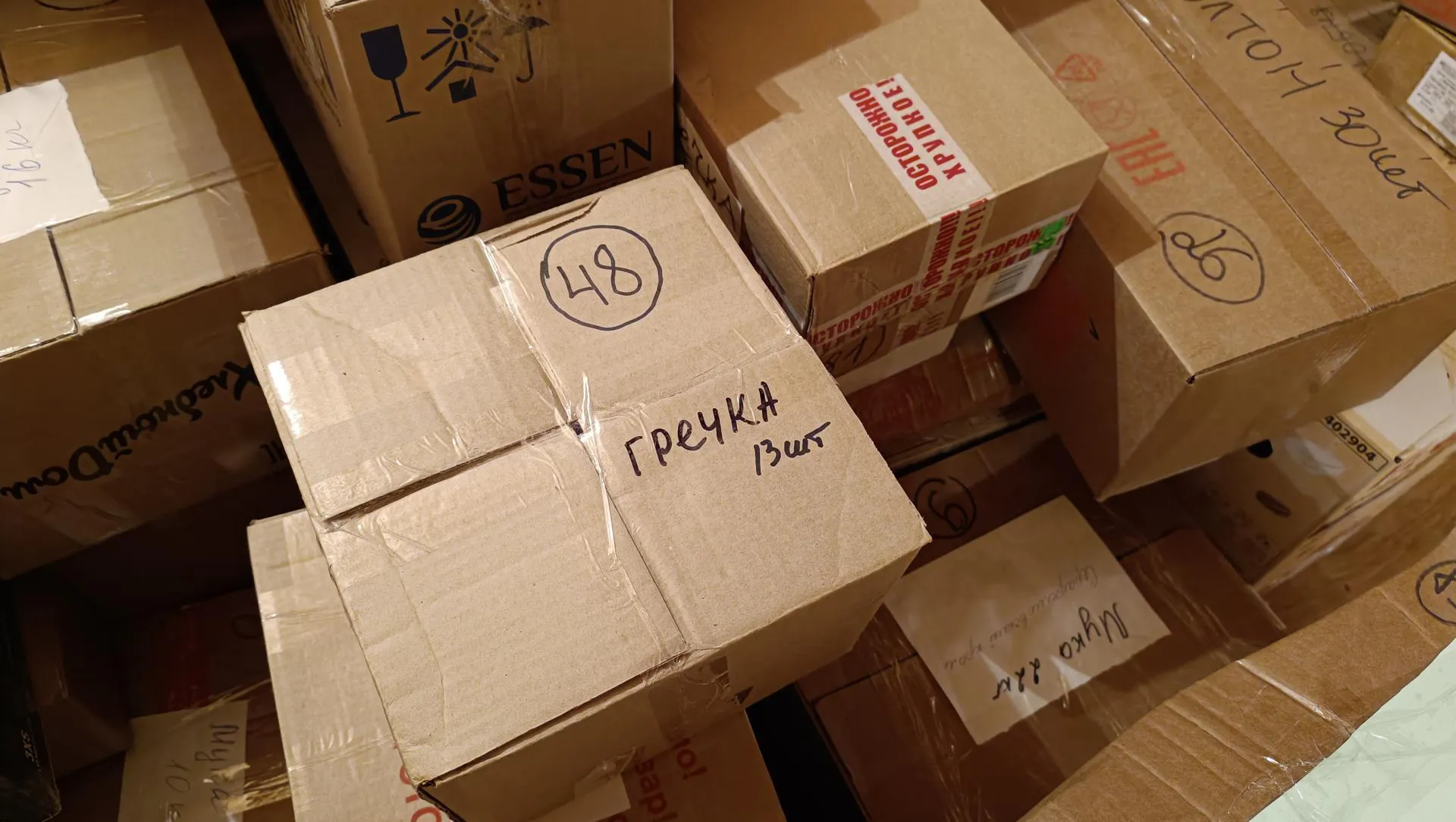 Екатерина Дятловская