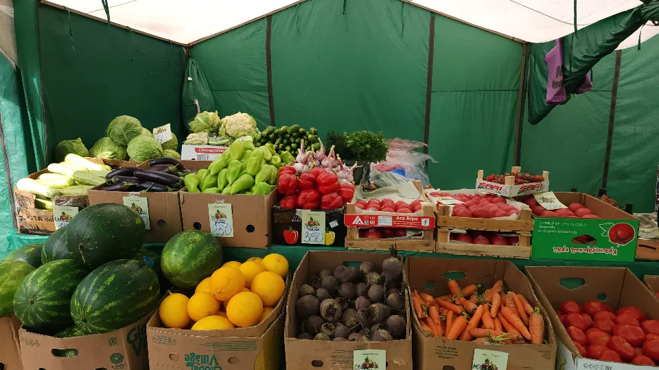 Фото: МедиаБанк Подмосковья/Хавива Фонина