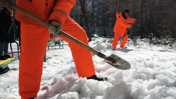 Муниципалитеты-лидеры зимнего рейтинга чистоты стали известны в Подмосковье