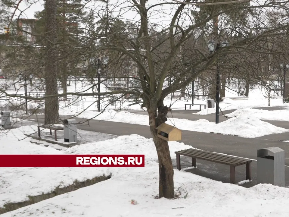 Фото: Елена Аботурова