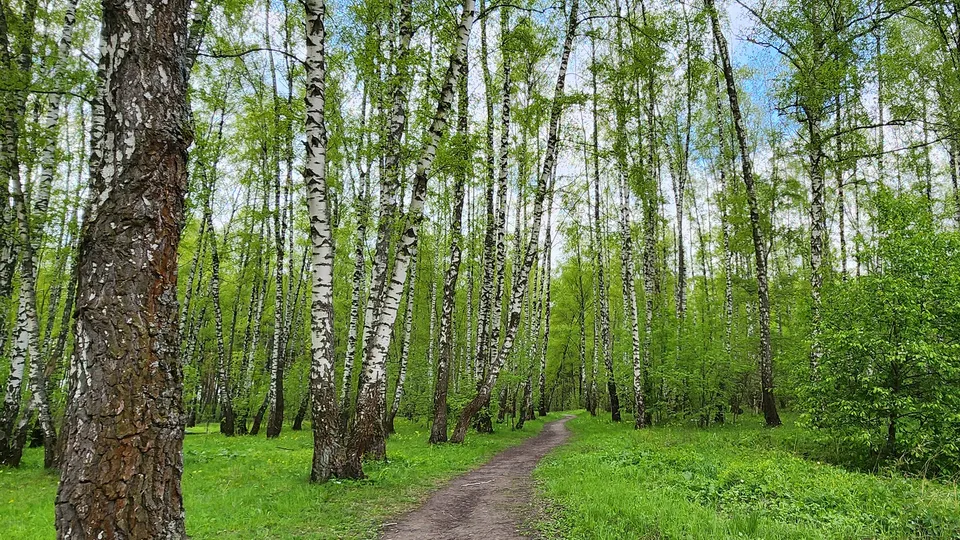 Фото: REGIONS/Наталия Надточая