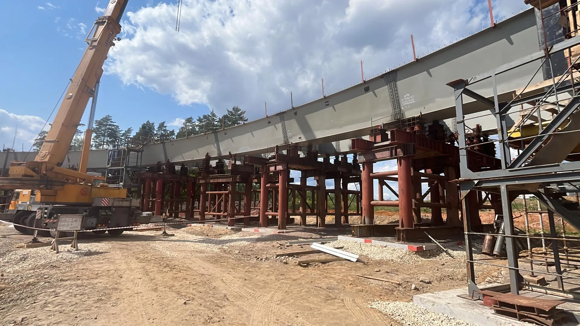 Фото: Елизавета Приймак