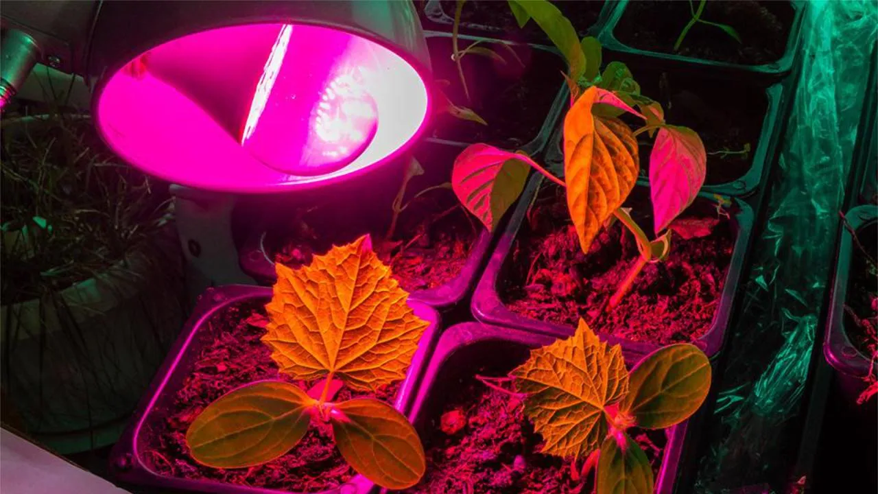 istockphoto.com/Дмитрий Коростылев