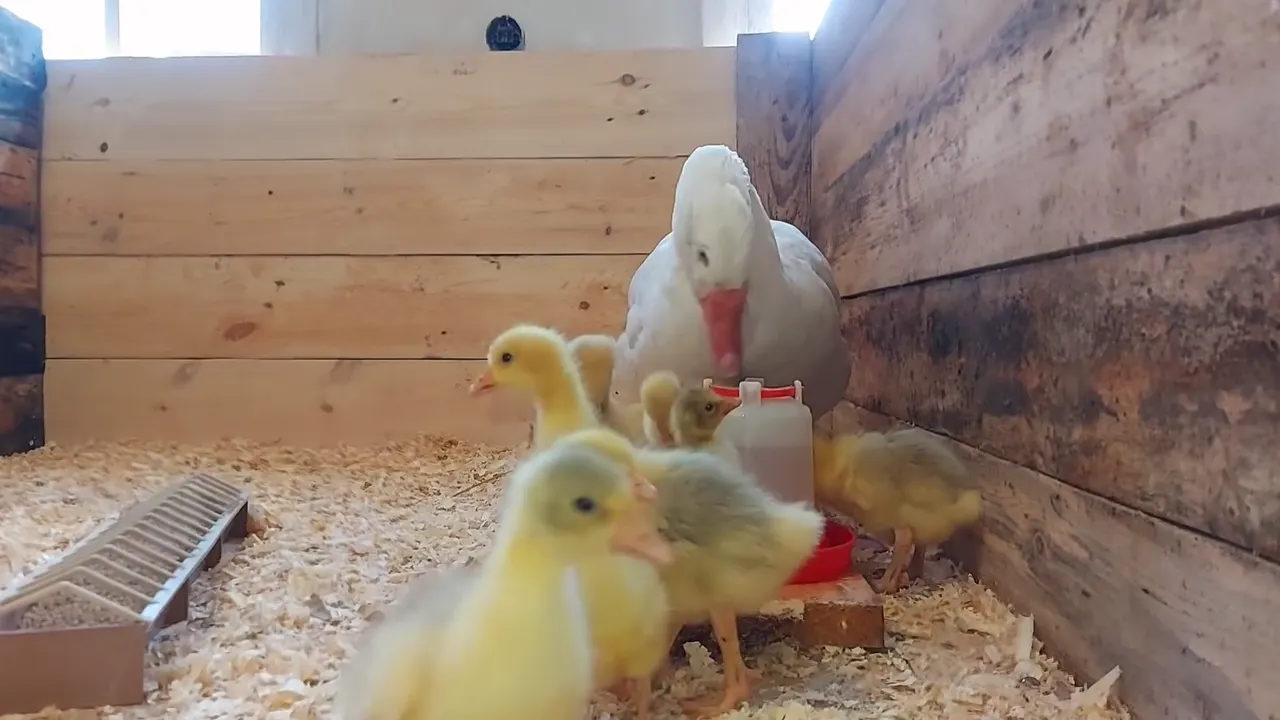 личный архив Виктории Прохоровой