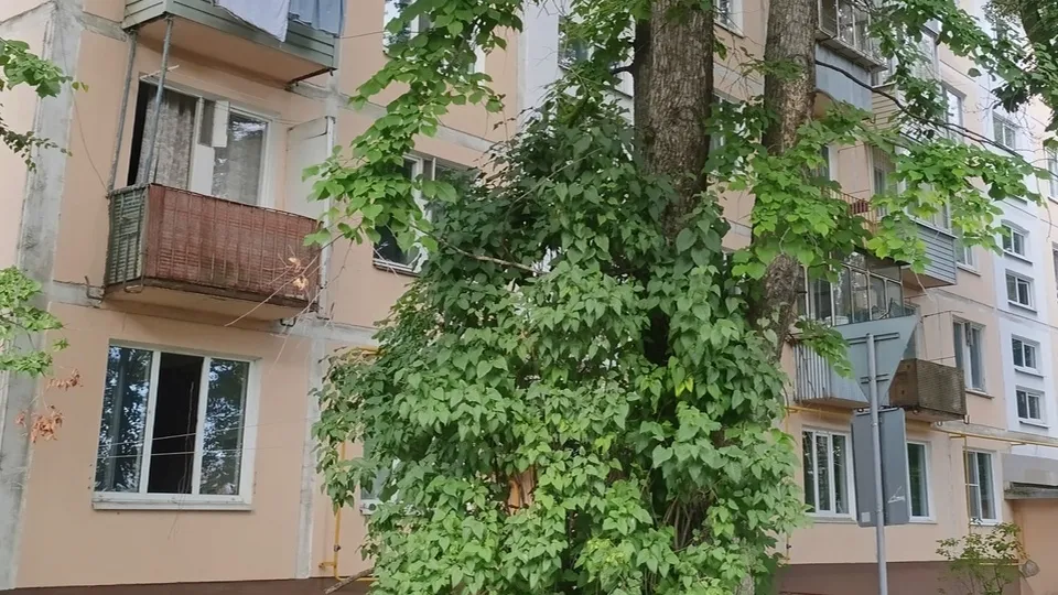 Фото: Ольга Антонова