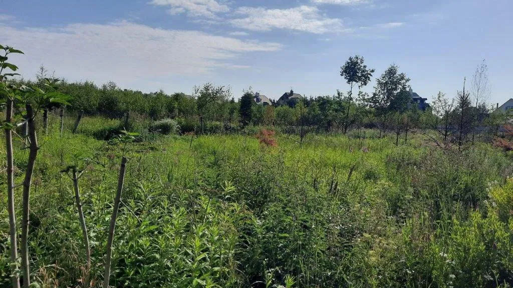 Министерство имущественных отношений Московской области