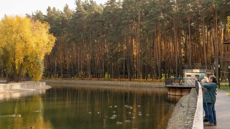 Фото: Парки г.о. Домодедово