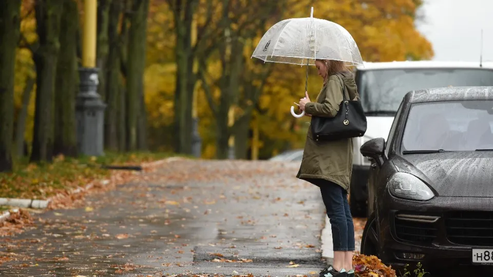 Фото: медиасток.рф