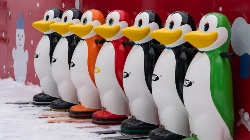 Фото: медиасток.рф