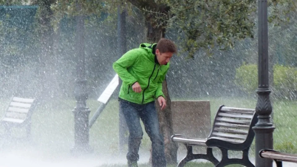 Фото: pxhere.com