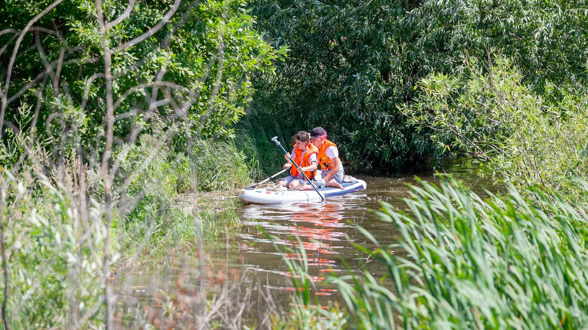 Фото: пресс-служба администрации г. о. Кашира