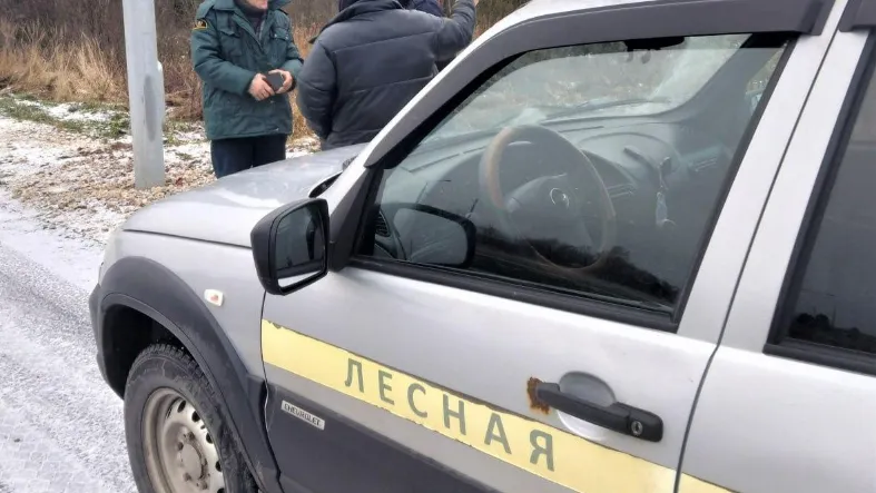 Фото: Комлесхоз МО