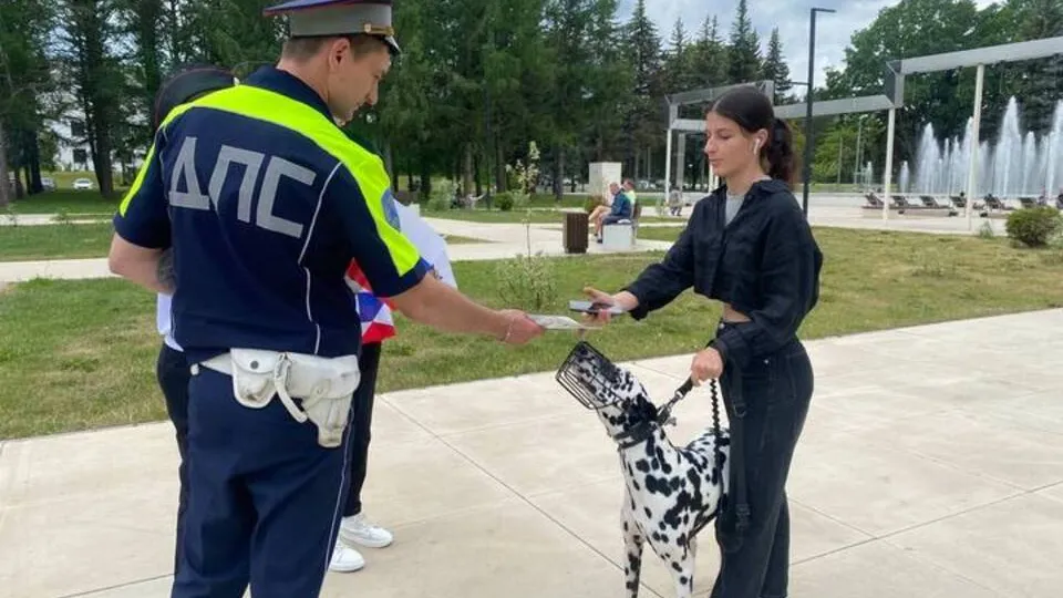 Фото: УМВД России «Серпуховское»