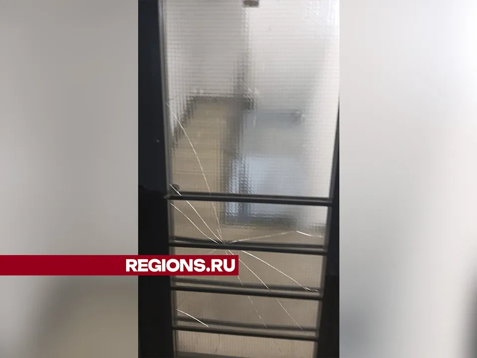 Фото: личный архив Светланы Федотовой