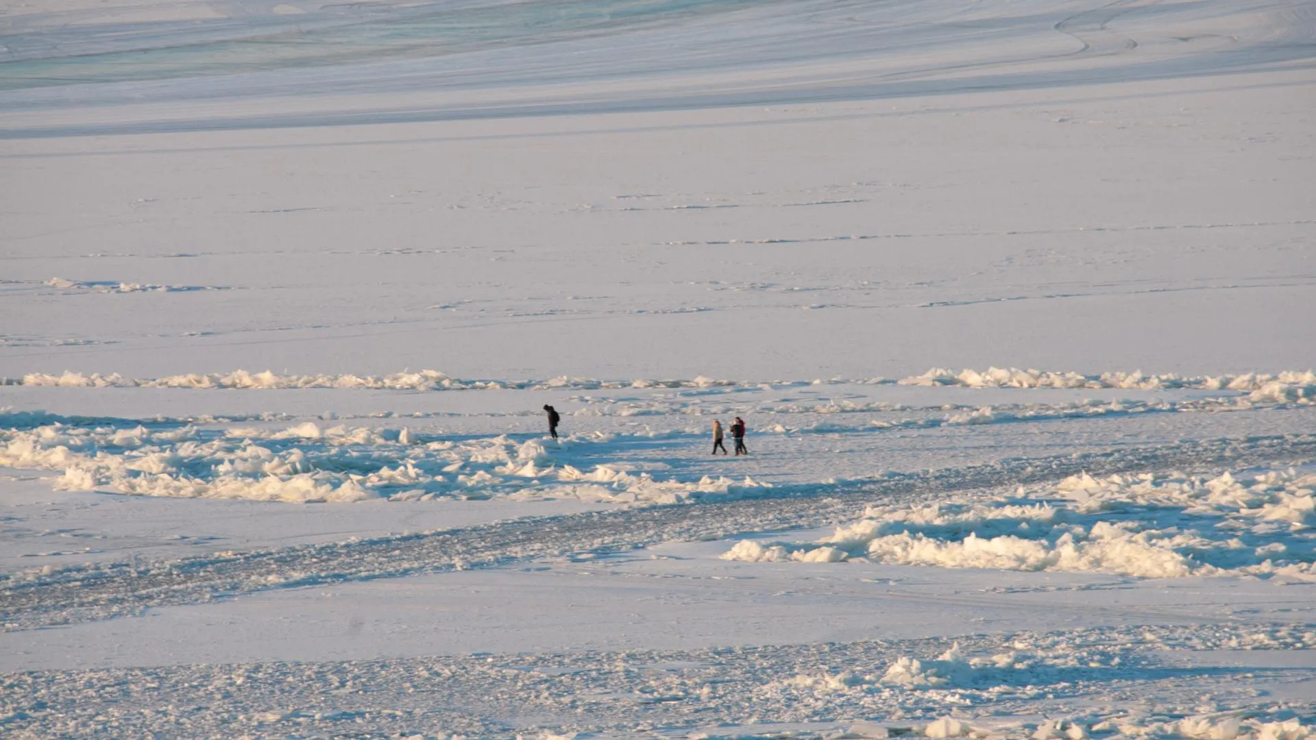 Svetlana Vozmilova/Global Look Press