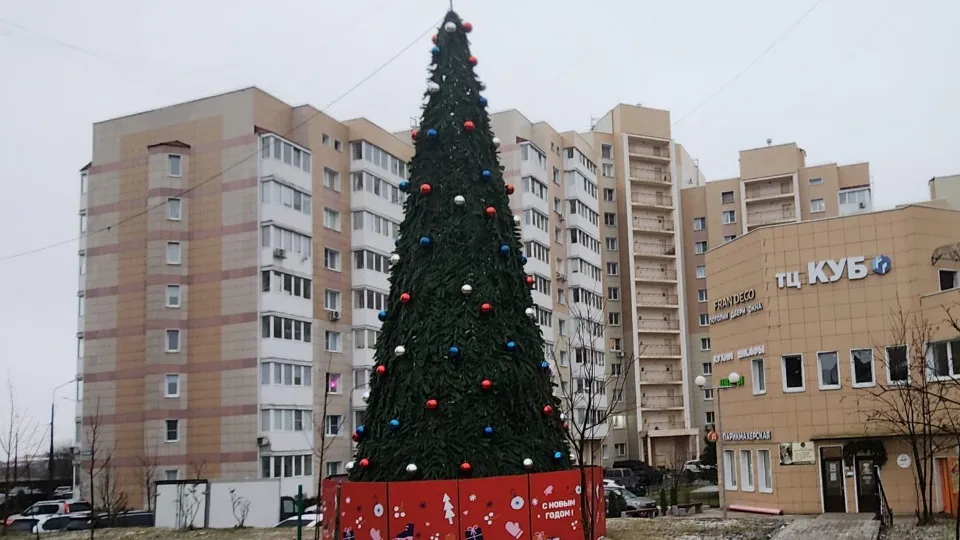 Фото: REGIONS/Хавива Фонина