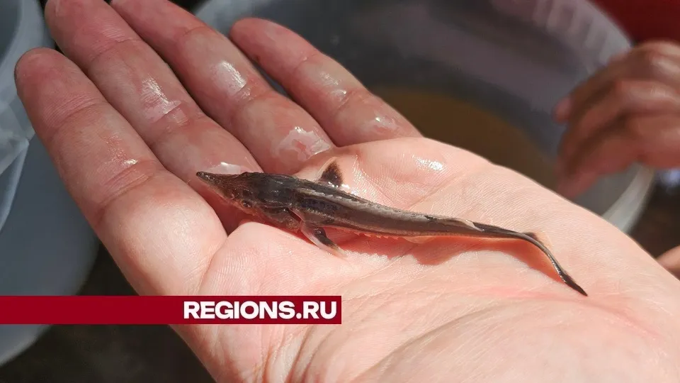 Фото: Александр Дрожжин