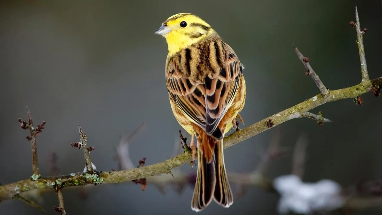 istockphoto.com/Andrew_Howe