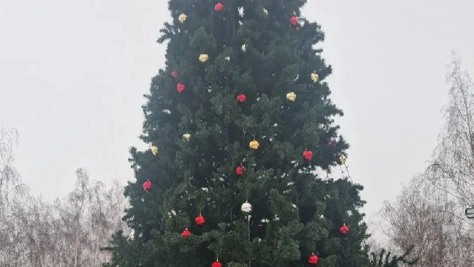 Фото: пресс-служба администрации г.о. Воскресенск