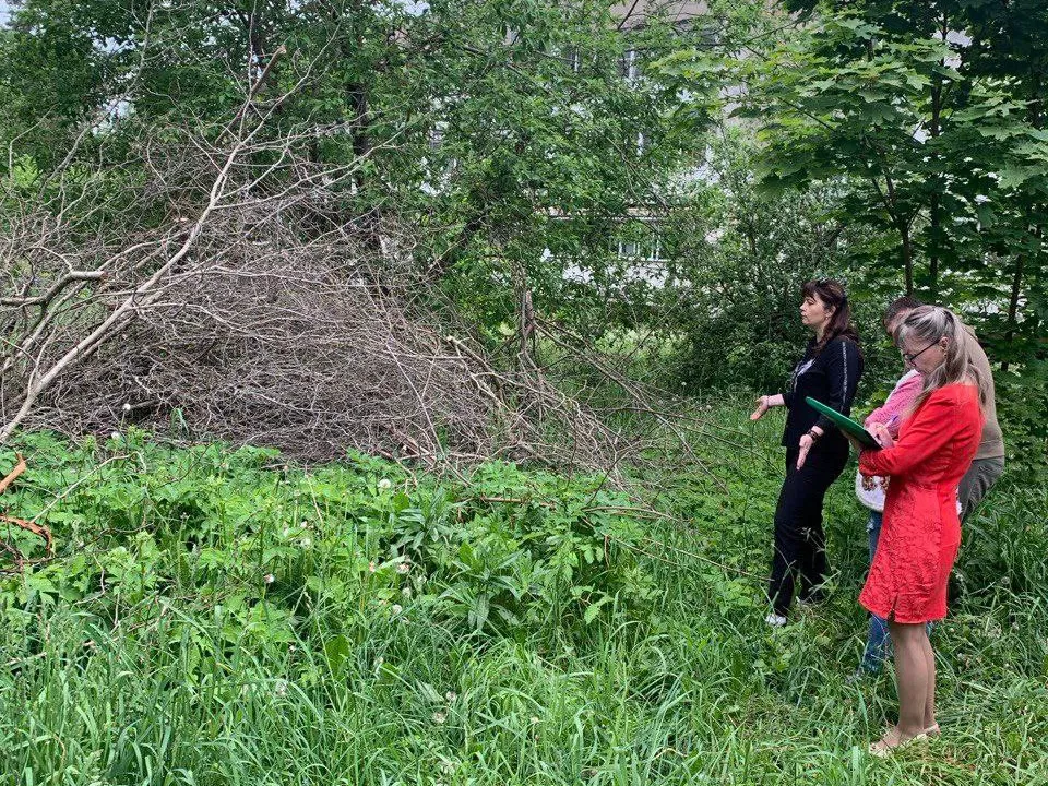 Фото: t.me/zabolotnaya_e