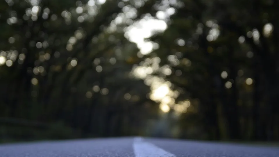 Фото: unsplash.com