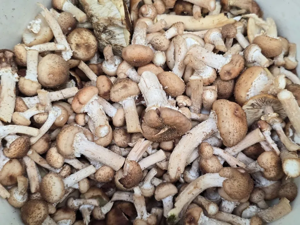 Фото: REGIONS/Яна Шаливская