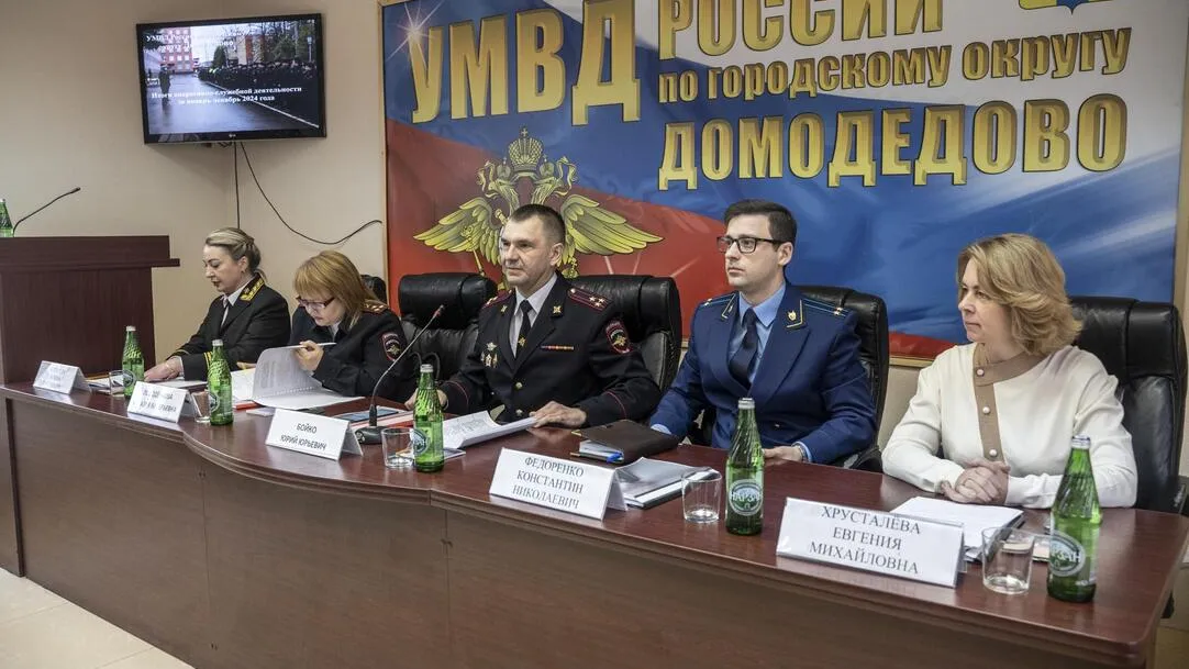 Фото: пресс-служба администрации г.о. Домодедово